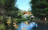 Ferienhaus Mitterdorf Bayerischer Wald